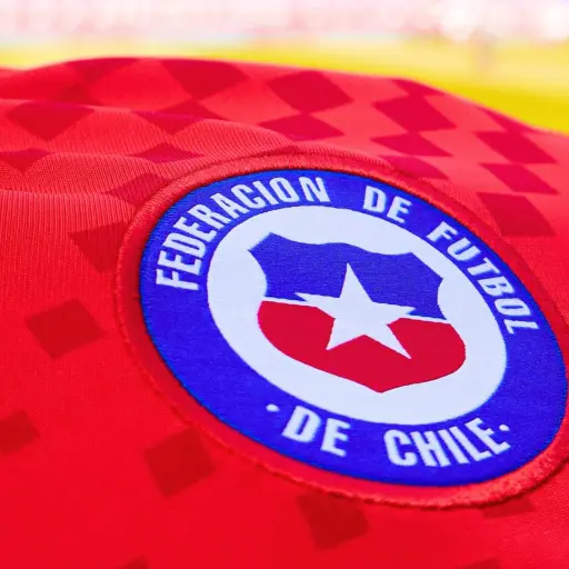 Selecciones ,anfp.cl